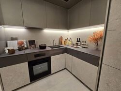 Havelock Road (D1), Apartment #462701591